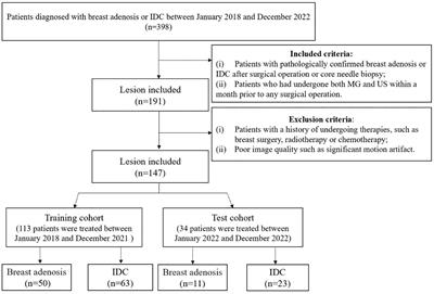 Radiomics analysis combining gray-scale ultrasound and mammography for differentiating breast adenosis from invasive ductal carcinoma